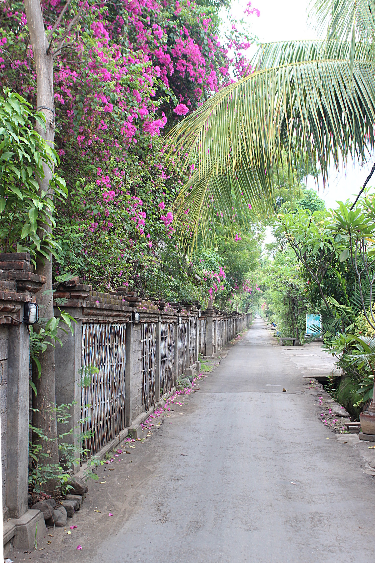 Street in Pemuteran