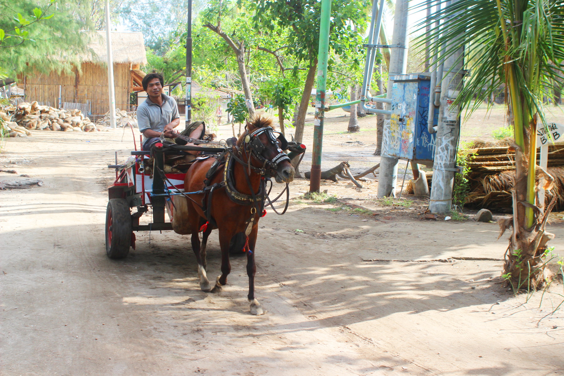 Horse cars