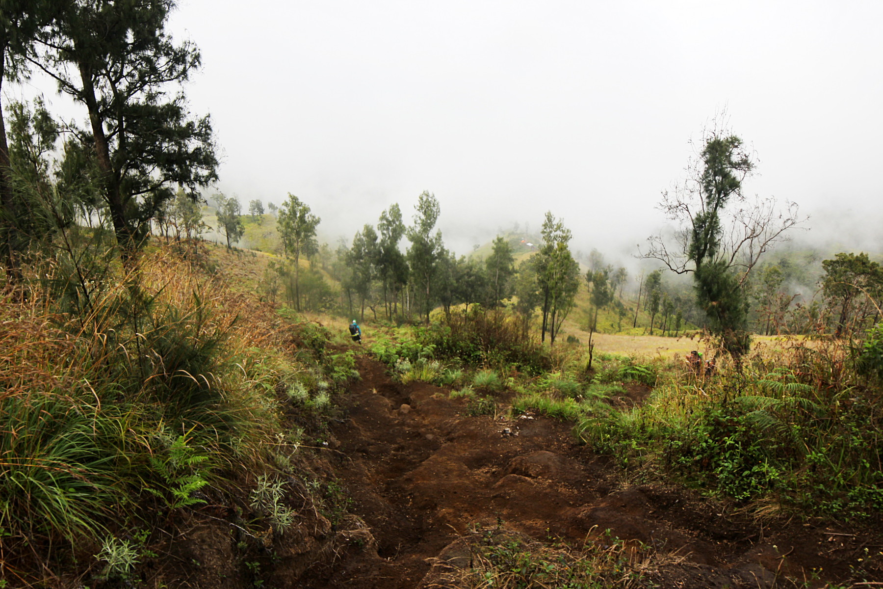 Path in the mountain