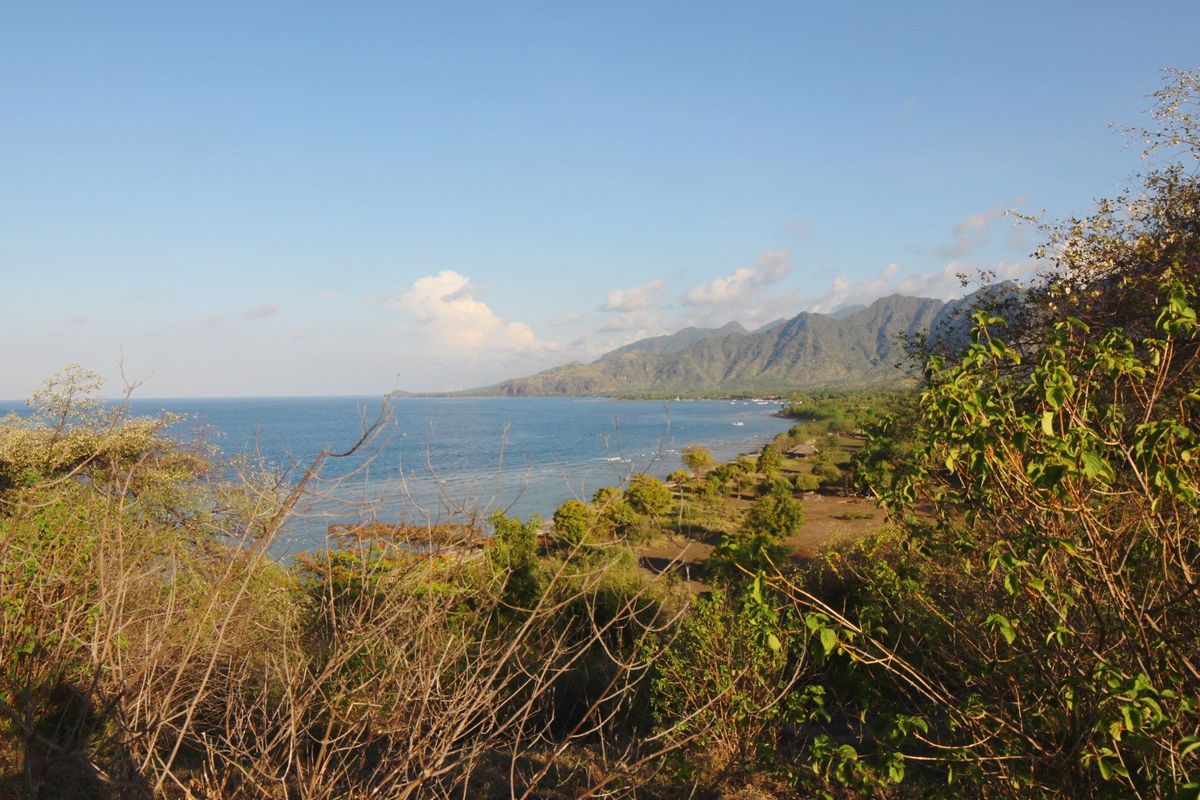 Pemuteran, The Diving Spot